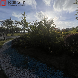 触手怪❌进尿孔里动漫视频
